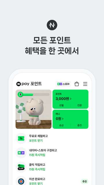 Naver Pay Wallet