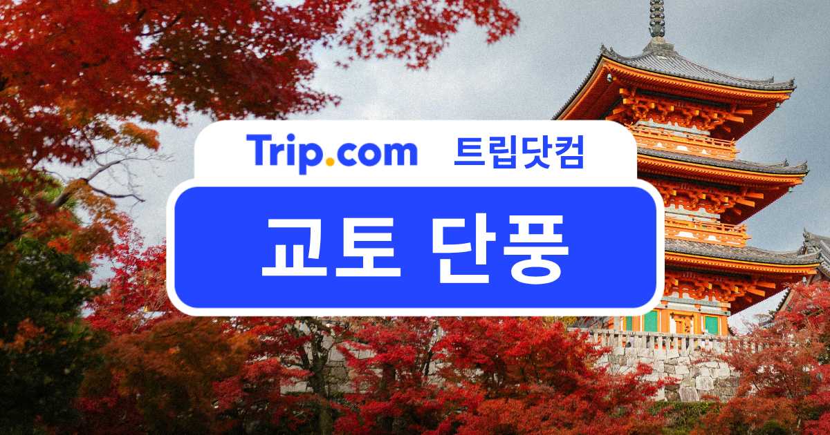 교토 단풍 여행 가이드🍁단풍 시기부터 명소, 단풍열차까지 | 트립닷컴