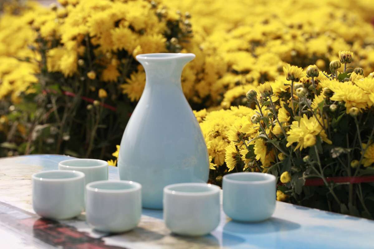 重陽節要做什麼 | 飲菊花酒