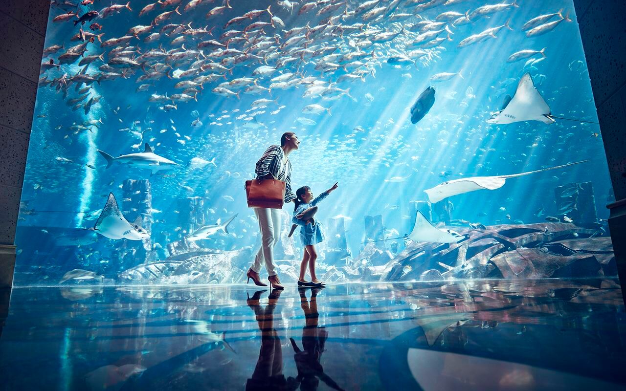 Какие развлечения есть в Санье