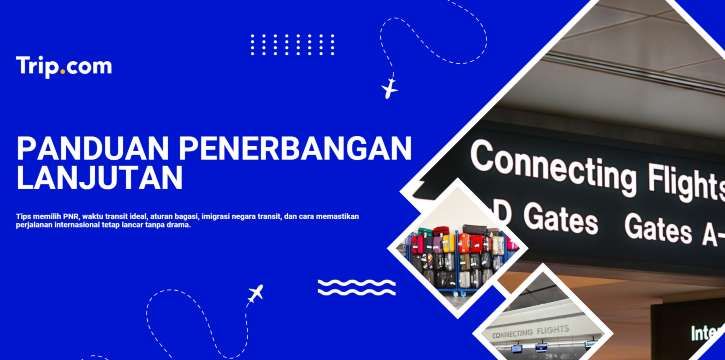 Panduan Penerbangan Lanjutan: Tips Transit & Perjalanan Internasional Lancar | Trip.com
