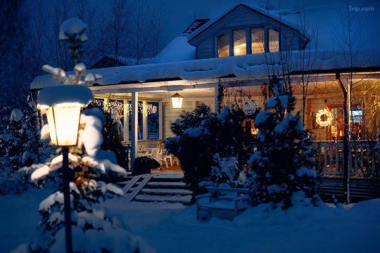 Какие домики есть в глэмпигк в Москве