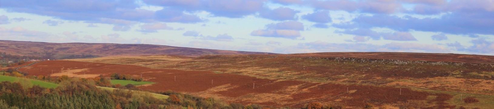 Trains to the North York Moors: What You Need to Know