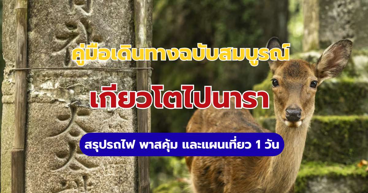 วิธีเดินทางจากเกียวโตไปนารา: สรุปรถไฟ พาสคุ้ม และแผนเที่ยว 1 วัน