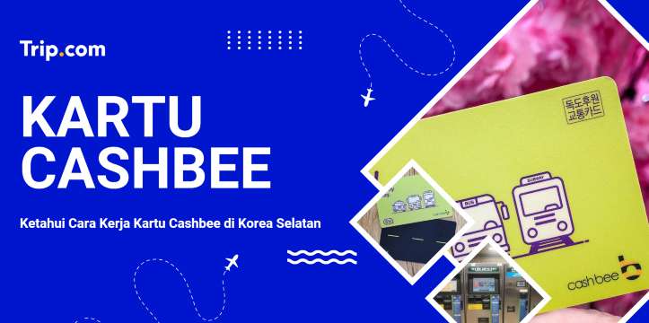 Cara Menggunakan Kartu Cashbee di Korea | Trip.com