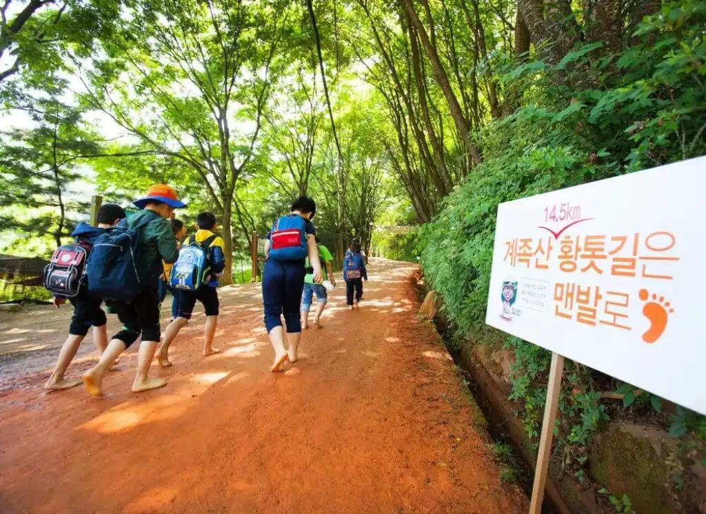 Gyejoksan Barefoot Trail
