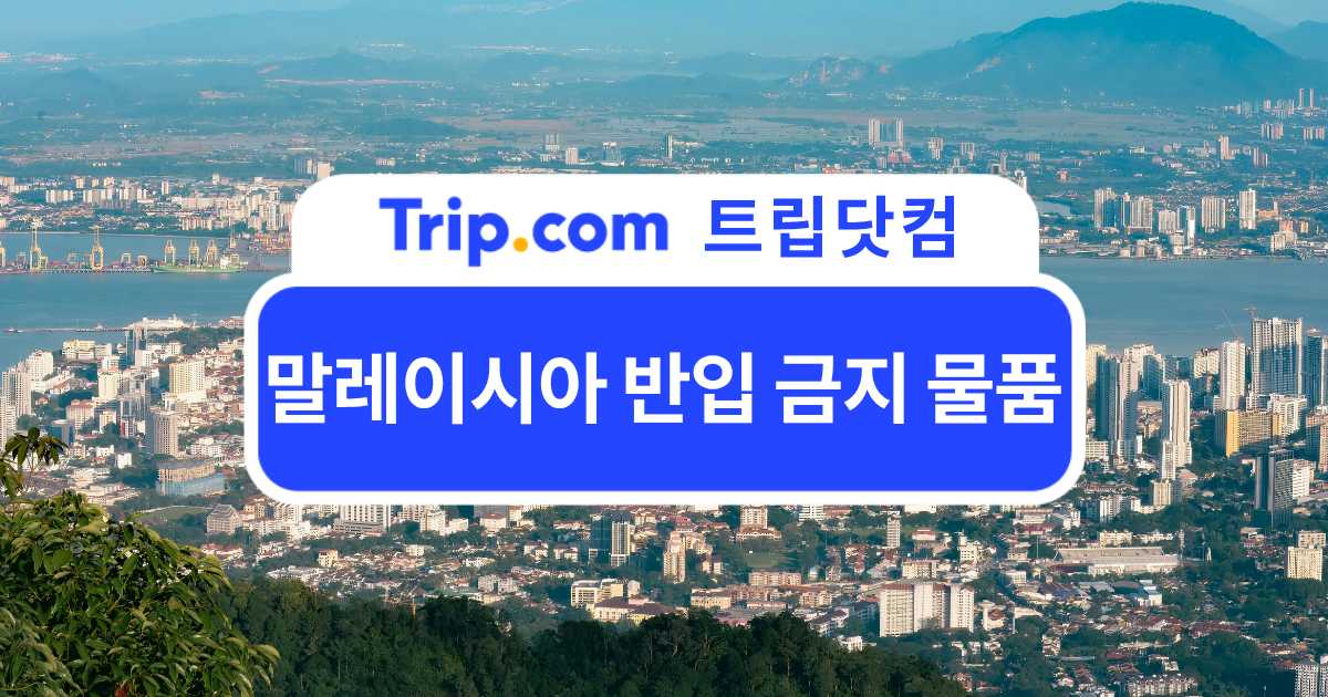 말레이시아 반입 금지 물품과 주류 면세 한도, 세관 신고 | 트립닷컴