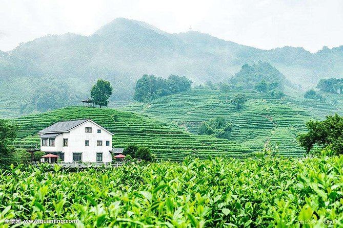Thé Longjing et villages traditionnels