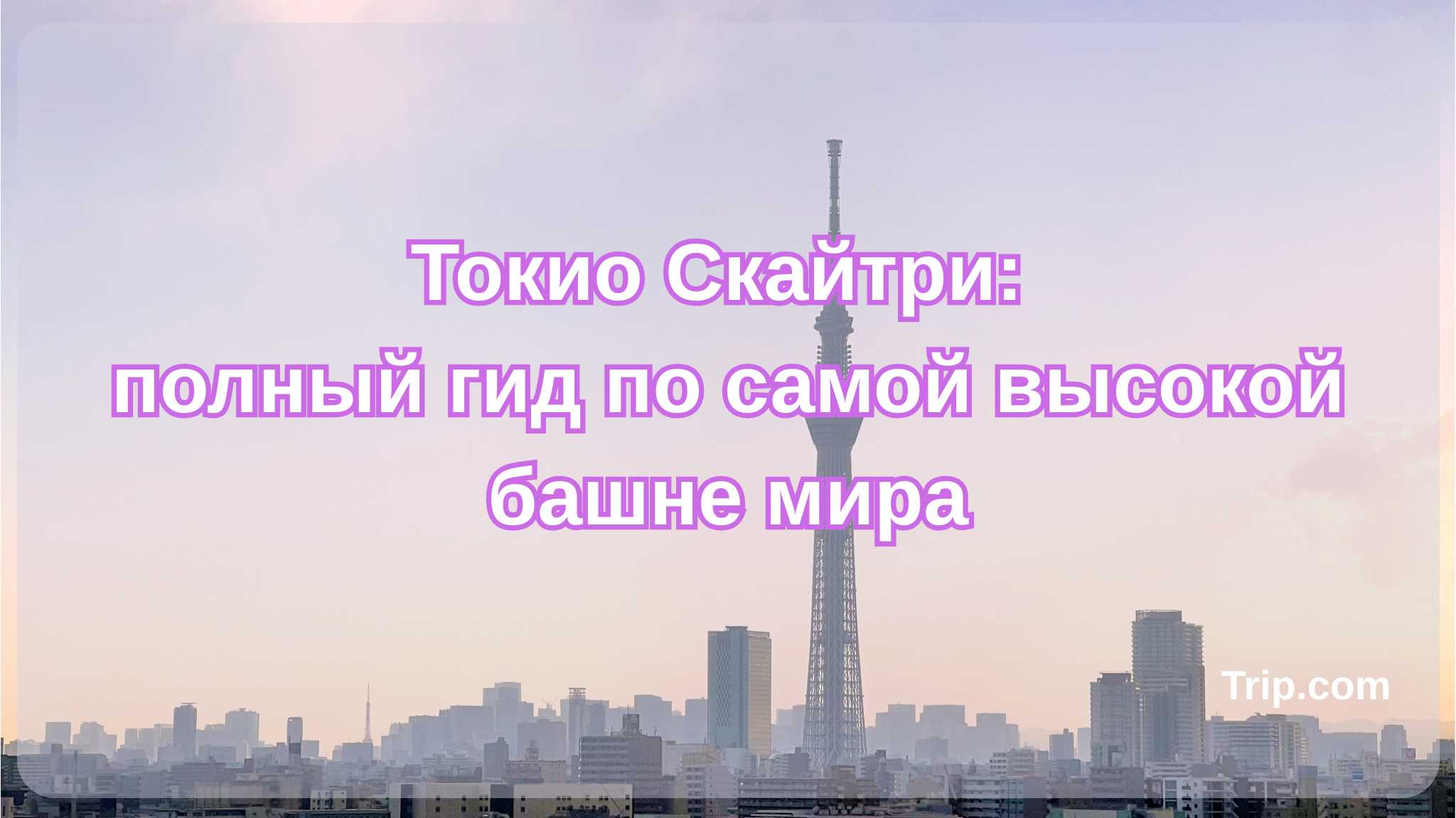 Гид по Токио Скайтри