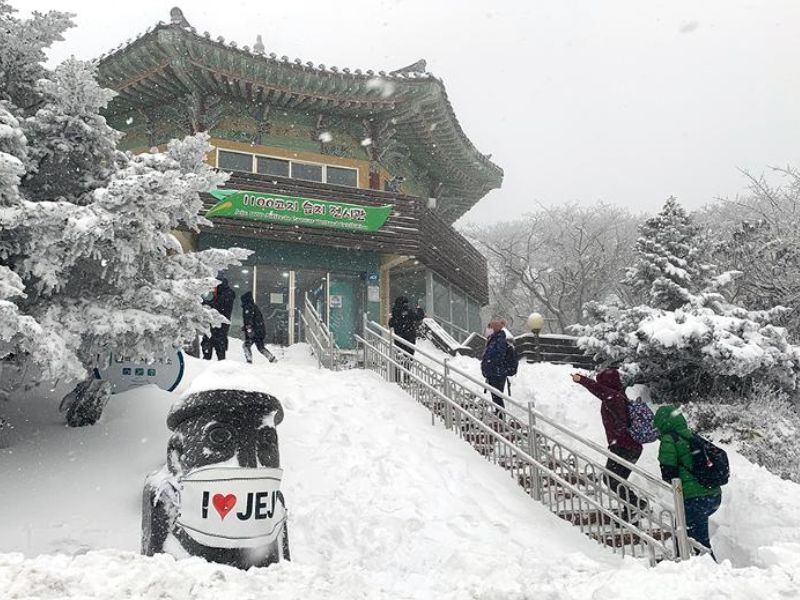 Jeju Weather in December