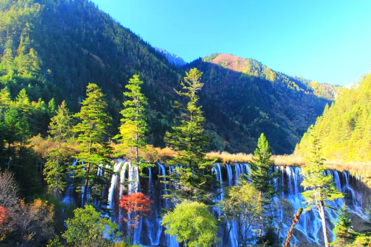 Jiuzhaigou Summer