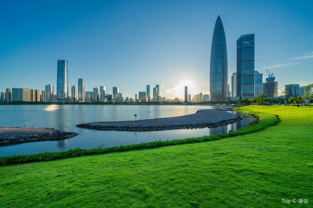 南山人才公園夜景