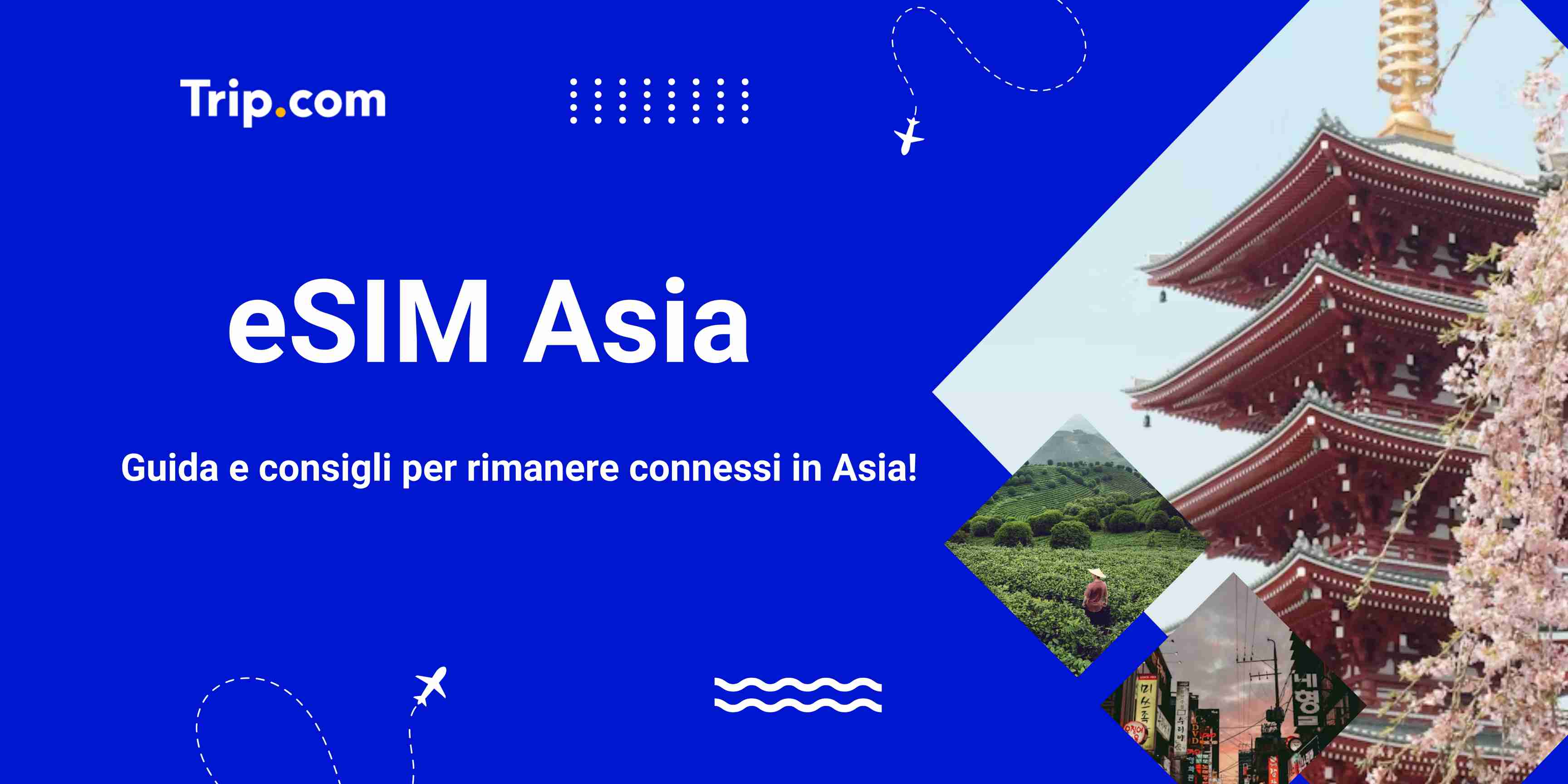 esim asia