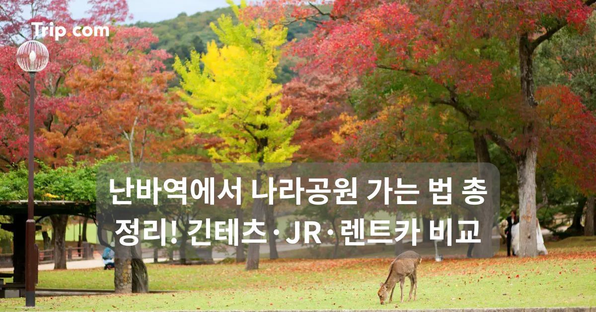 난바역에서 나라공원 가는법