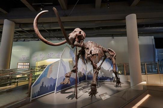 Hong Kong Science Museum