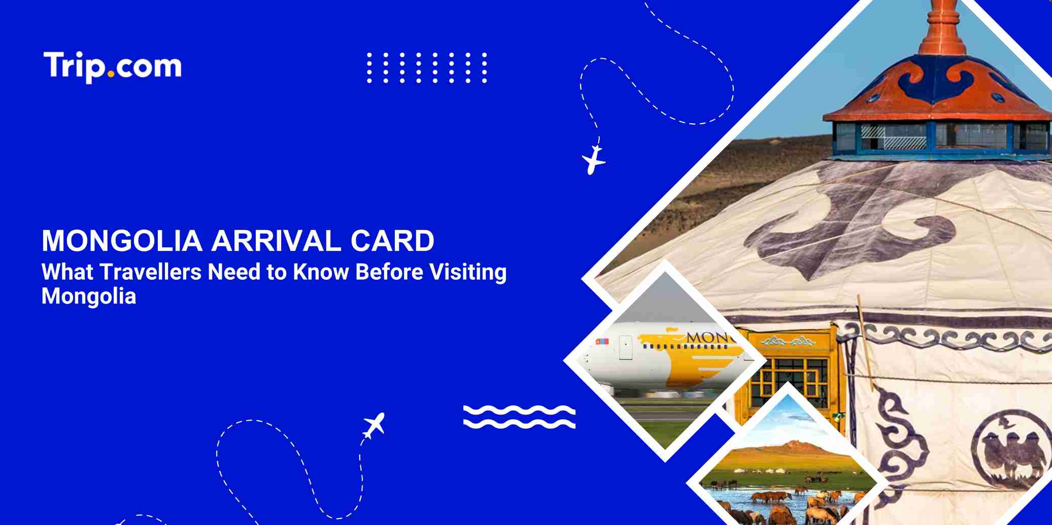 Mongolia Arrival Card: Entry Guide for Travellers