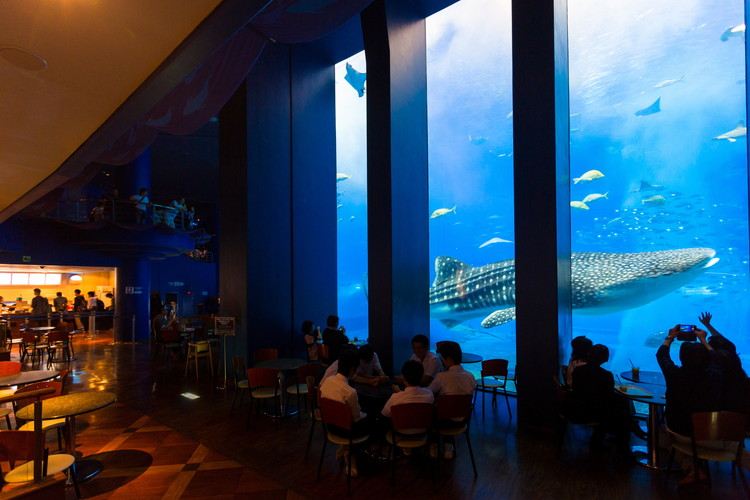 Okinawa Churaumi Aquarium Food: Cafe Ocean Blue