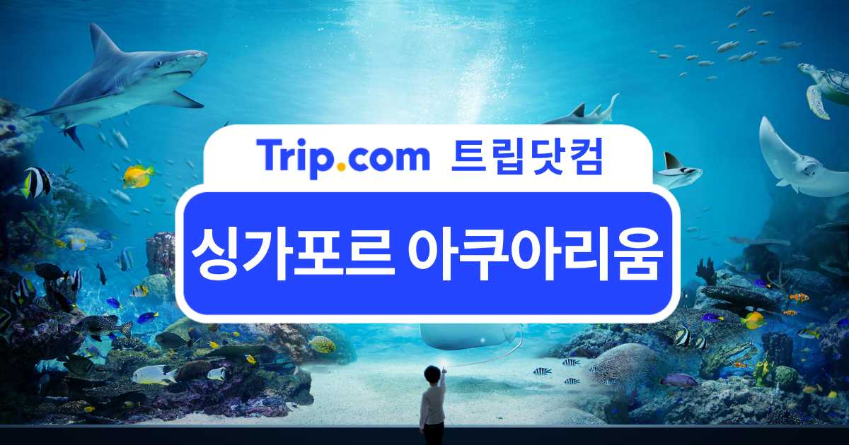 싱가포르 아쿠아리움 티켓·예약·근처 호텔까지 총정리 | 트립닷컴