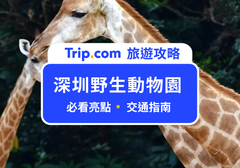 深圳野生動物園