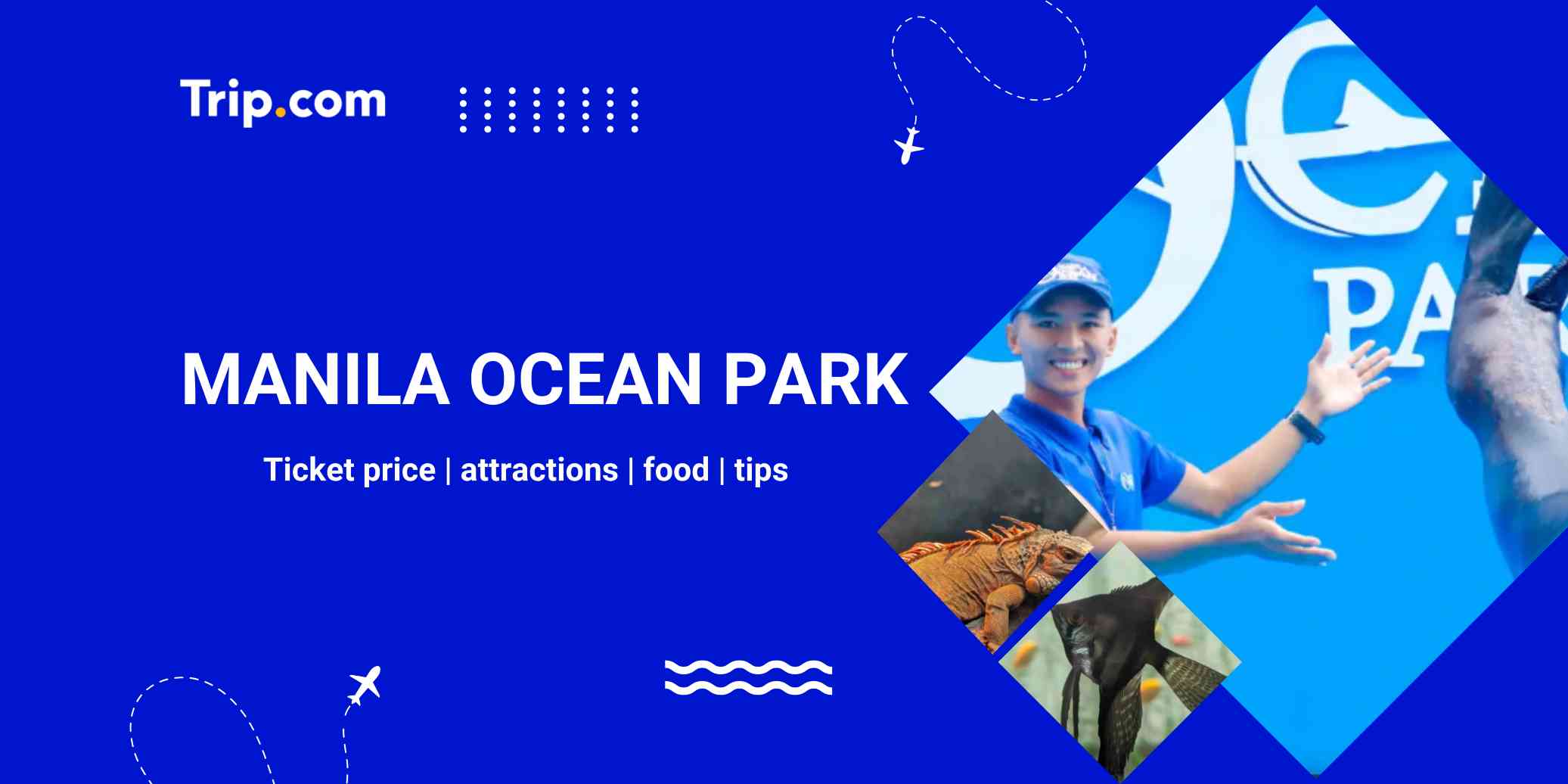 Manila Ocean Park Visitor's Guide: Attractions, Tickets & Tips