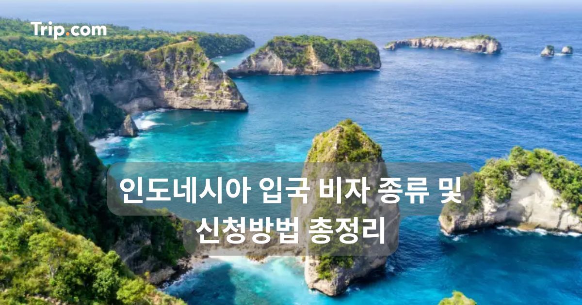 인도네시아 입국 비자