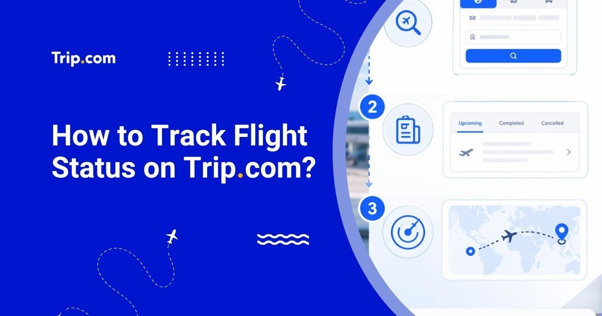 How to Track Flight Status on Trip.com