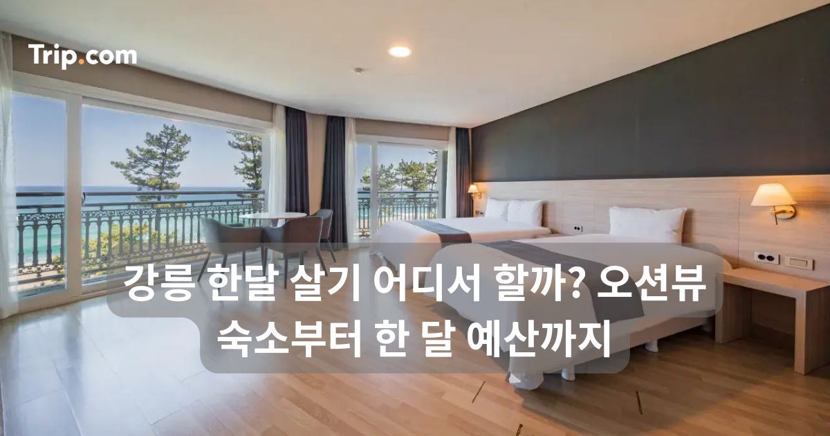 강릉 한달 살기 어디서 할까? 오션뷰 숙소부터 한 달 예산까지 | 트립닷컴