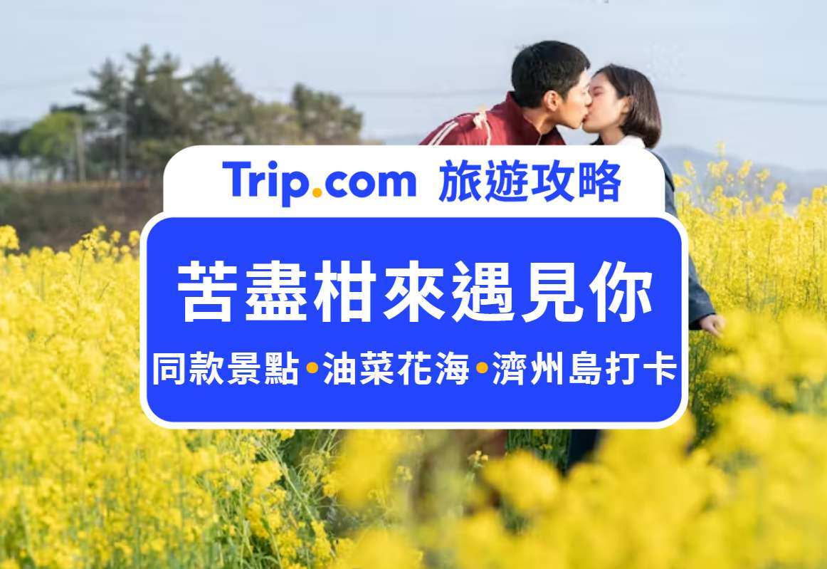 苦尽柑来遇见你同款