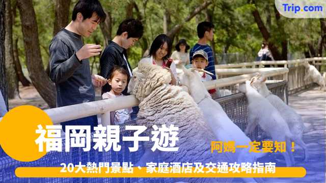 福岡親子遊 | 20大熱門景點、家庭酒店及交通攻略指南 | Trip.com