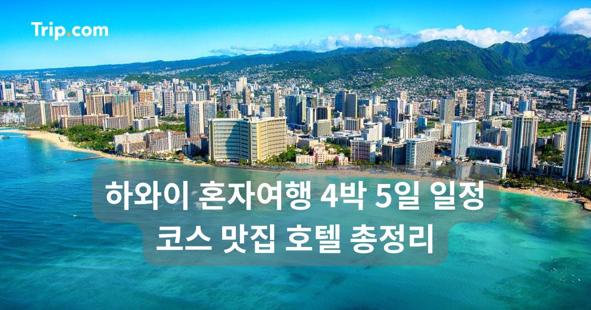 하와이 혼자여행 추천
