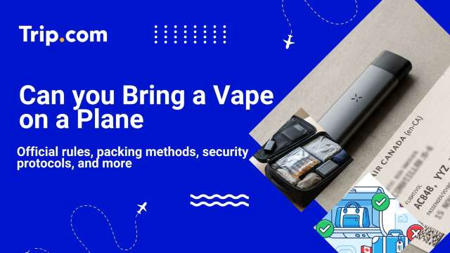 Can You Bring a Vape on a Plane? Flight Rules for Canada | Trip.com