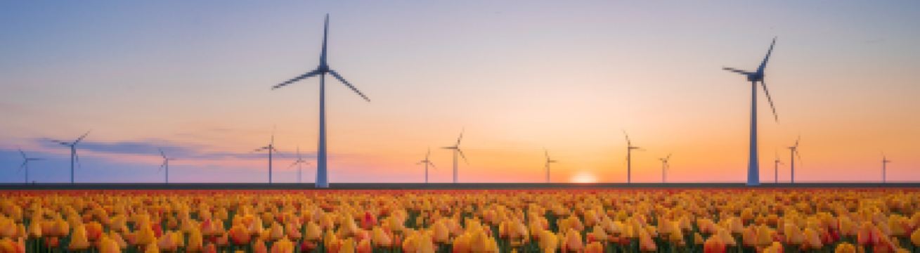 Your complete guide to traveling to Amsterdam with Eurostar