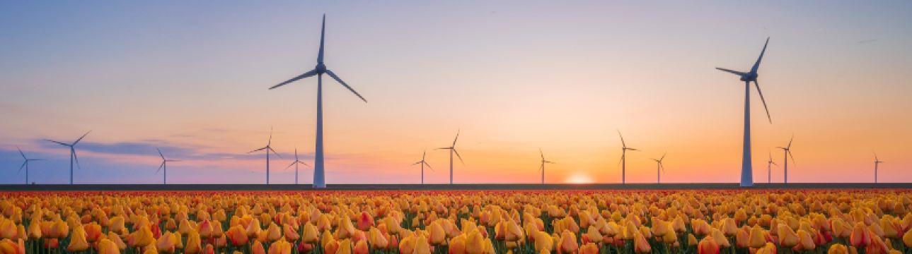 Your complete guide to traveling to Amsterdam with Eurostar