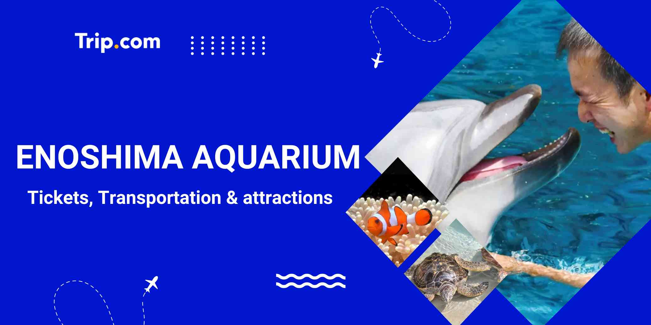Enoshima Aquarium: Tickets, Shows & Travel Guide