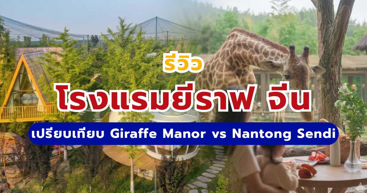 รีวิวโรงแรมยีราฟ จีน 2569: เปรียบเทียบ Giraffe Manor Hotel vs Nantong Sendi | Trip.com