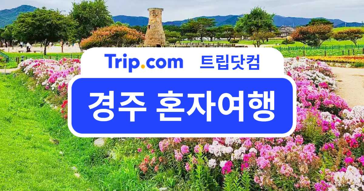 천년 왕도를 혼자 걷다, 경주 혼자여행 가이드라인 추천 | 트립닷컴