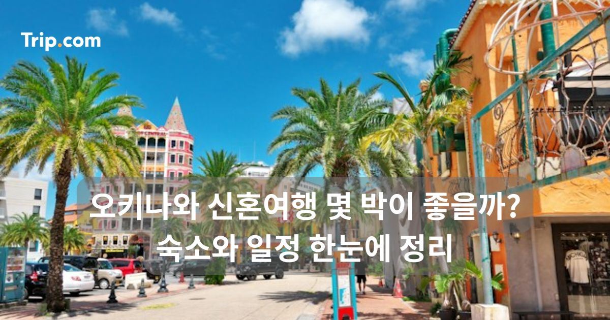 오키나와 신혼여행