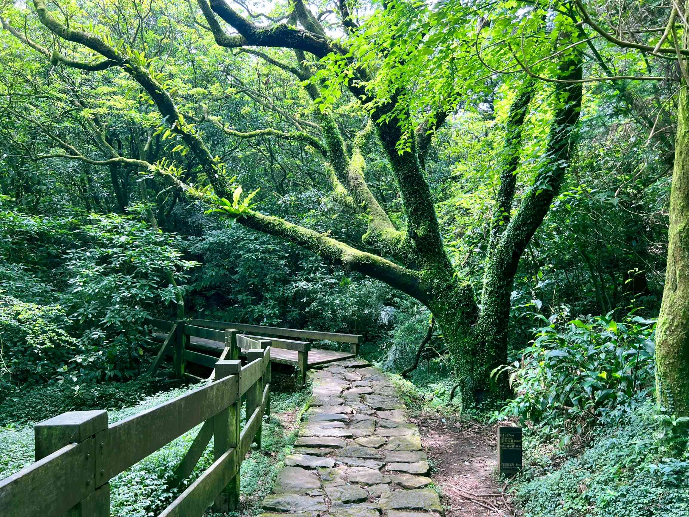 Yangmingshan National Park