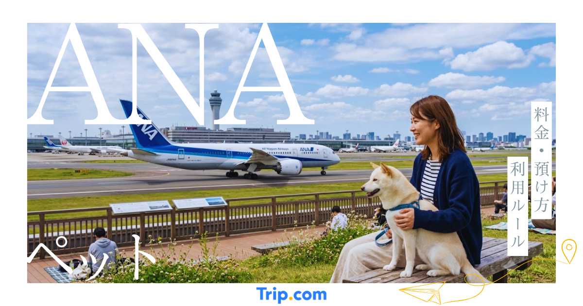 ANAでペットは飛行機に乗れる？料金・預け方・利用ルールをわかりやすく解説