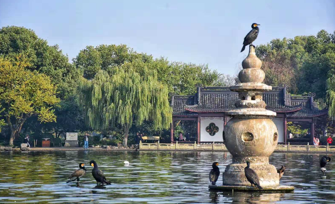 Top 10 West Lake Scenes (西湖十景)