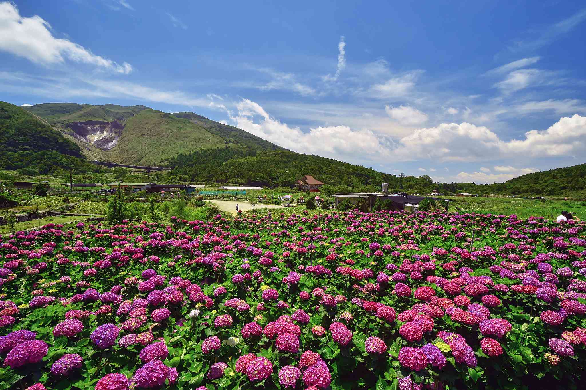Yangmingshan National Park