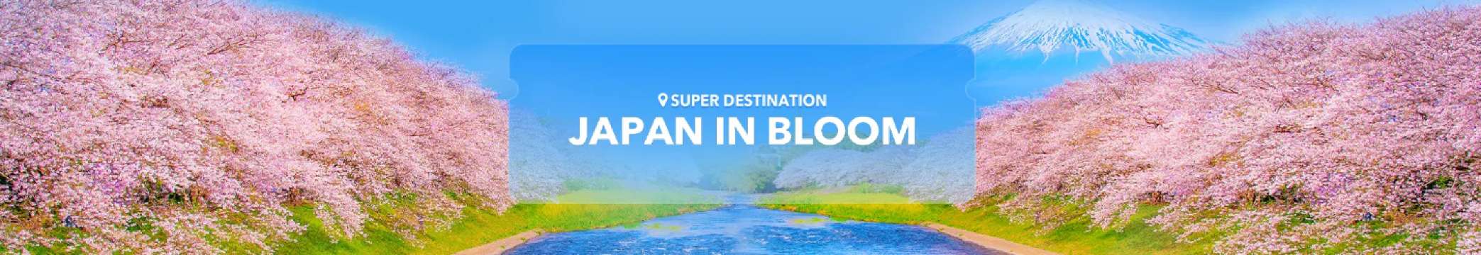 Super Destination: Japan in Bloom