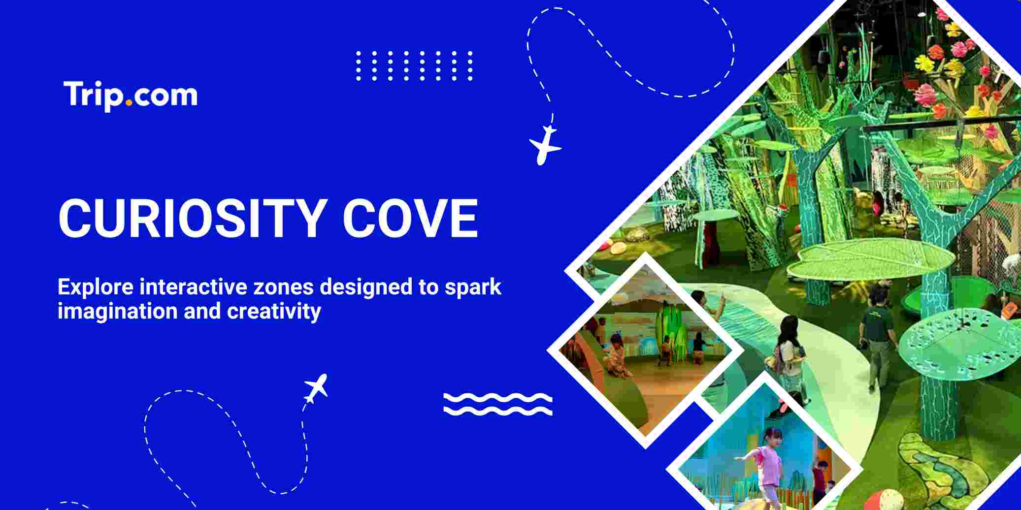 Curiosity Cove