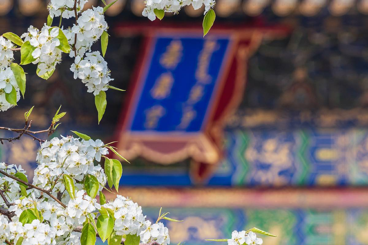 3. Step Into History at the Forbidden City