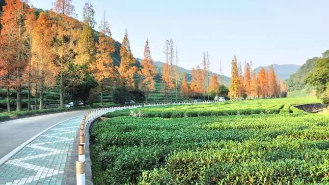 Meijiawu Tea Village