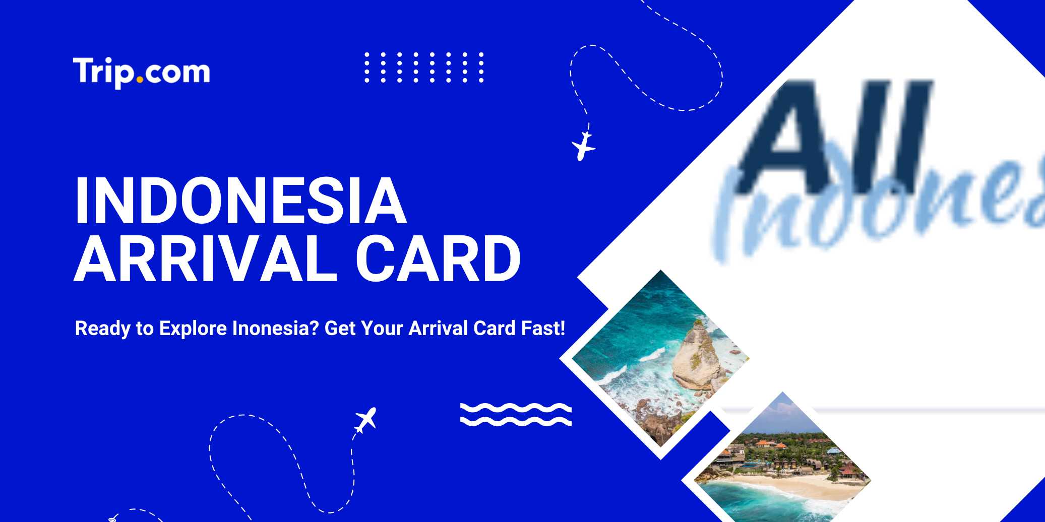 Indoensia Arrival Card