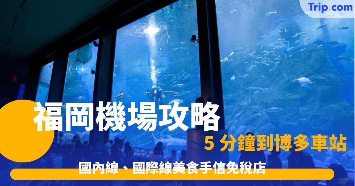 福岡機場攻略，國內線、國際線美食手信免稅店，5 分鐘到博多車站 | Trip.com
