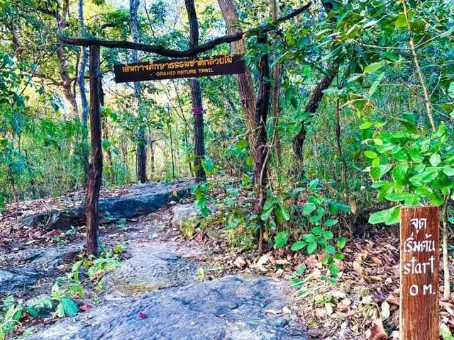 อุทยานแห่งชาติภูผายล อุทยานแห่งชาติภูผาเหล็ก