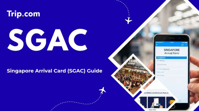 Singapore Arrival Card Guide