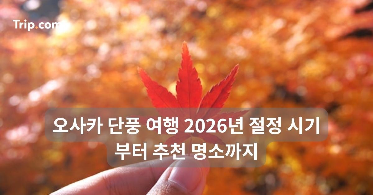 오사카 단풍 여행 2026년 절정 시기부터 추천 명소까지 | 트립닷컴